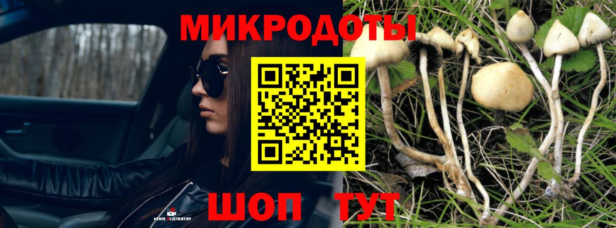 Галлюциногенные грибы Psilocybine cubensis  Вход с VPN  Галлюциногенные грибы мухоморы  Салават 